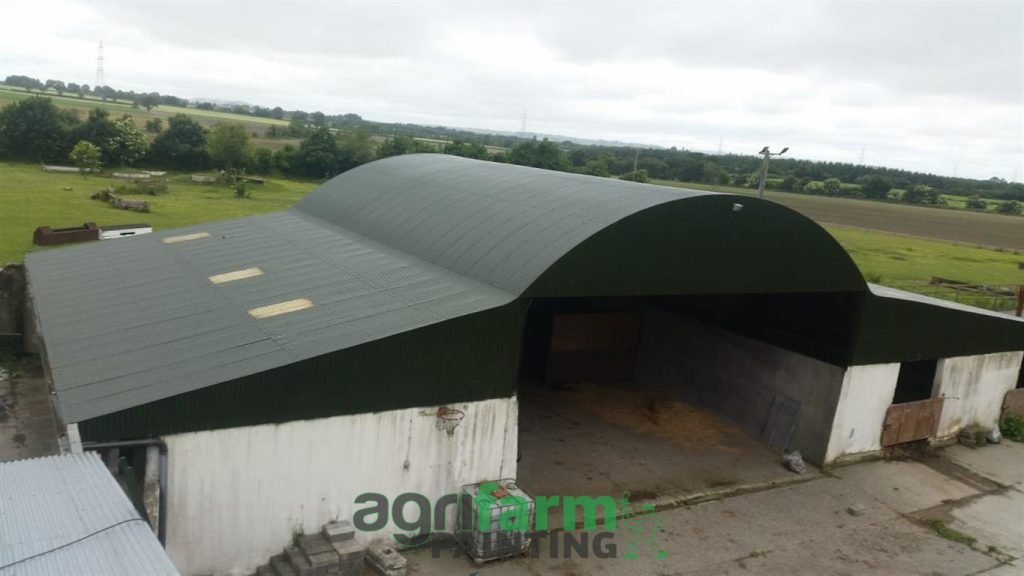 Shed Painting and Restoration in Sandbrook House, Co. Carlow